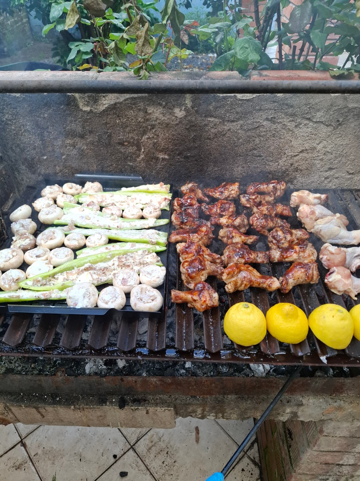 Pollo, champiñones y verduras en la parrilla